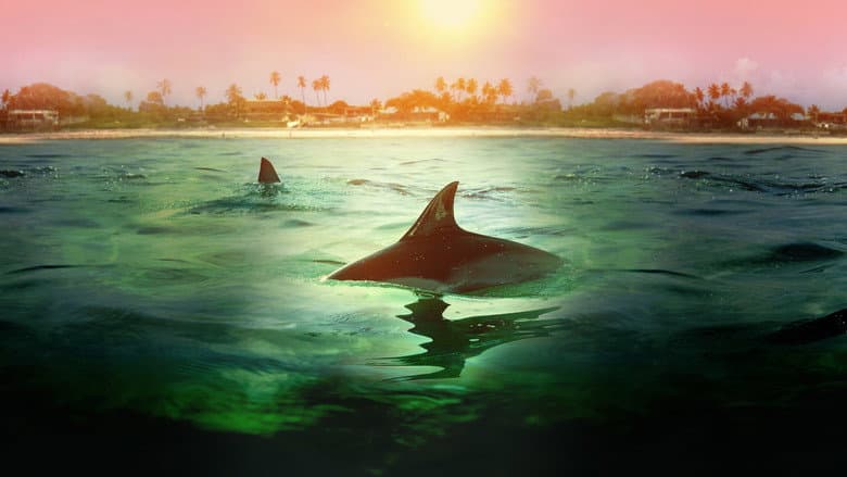 Sharks vs. Dolphins: Bahamas Battleground still