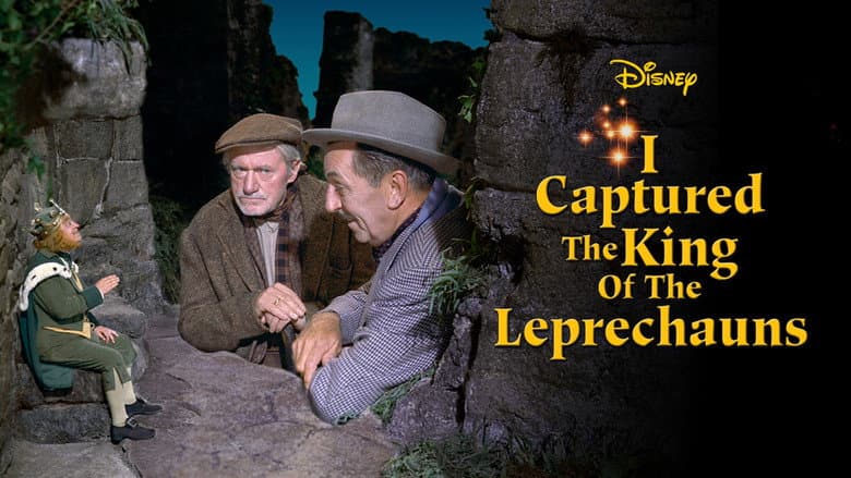 I Captured the King of the Leprechauns still