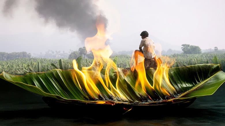Vaazhai still