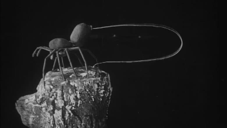 To Demonstrate How Spiders Fly still