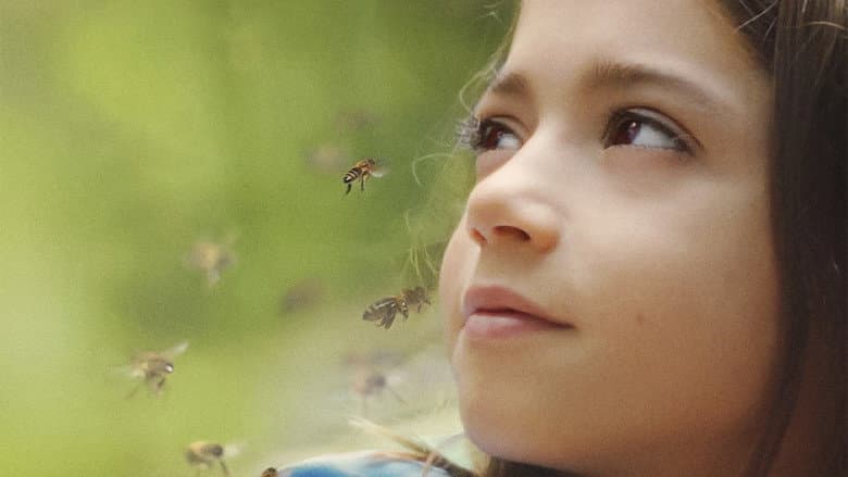 20,000 Species of Bees still
