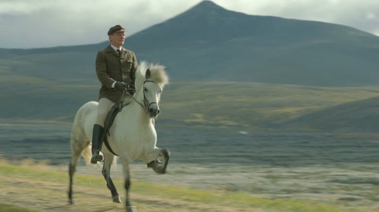 Of Horses and Men still