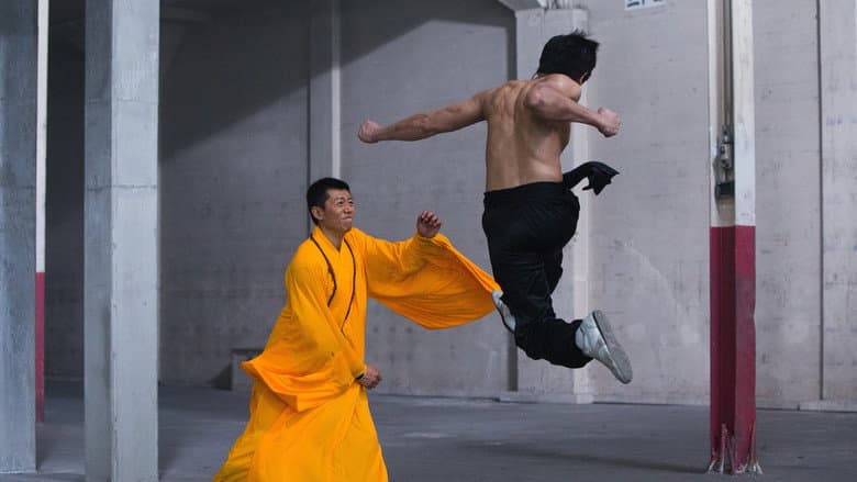Birth of the Dragon still