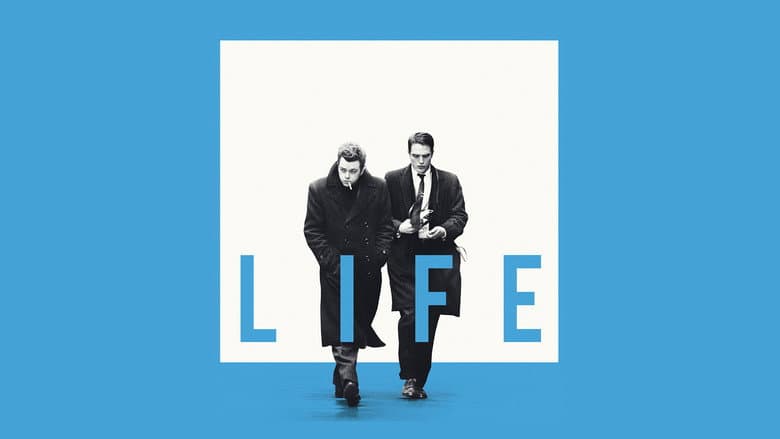 Life still