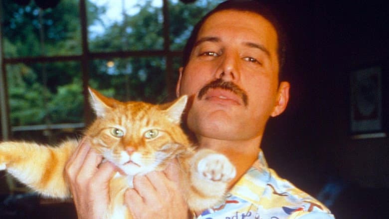 Freddie Mercury: The Great Pretender still