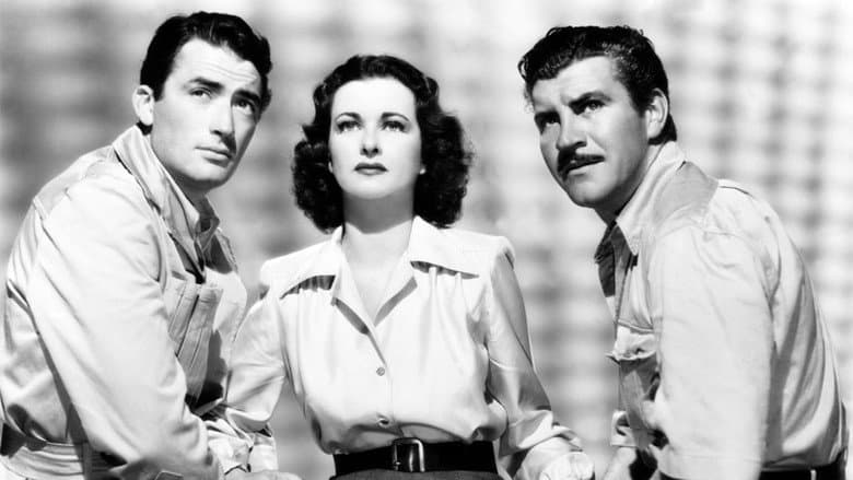 The Macomber Affair still