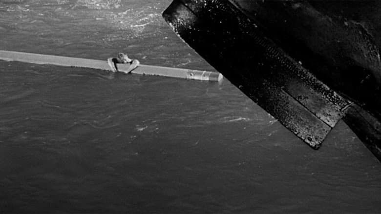 The Incredible Shrinking Man still