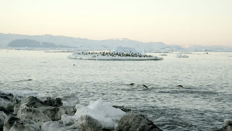 Antarctica: The Frozen Time still