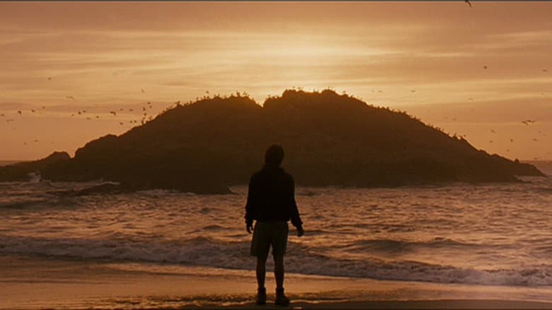 Into the Wild still