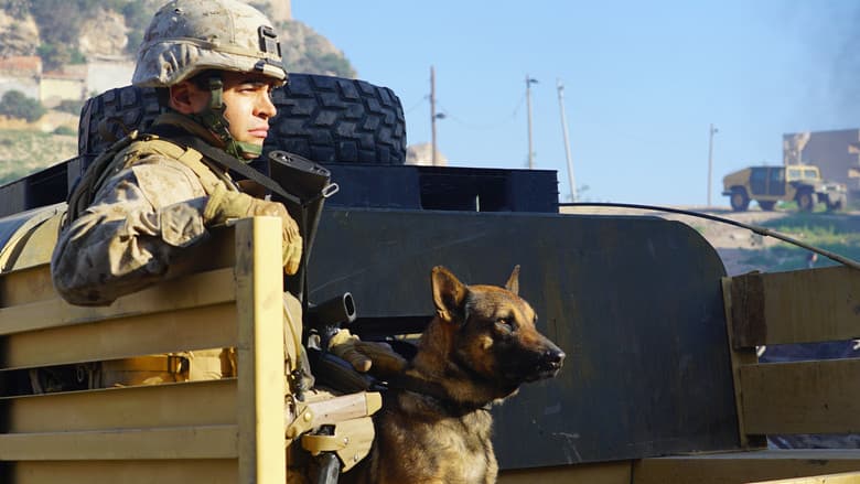 Megan Leavey still