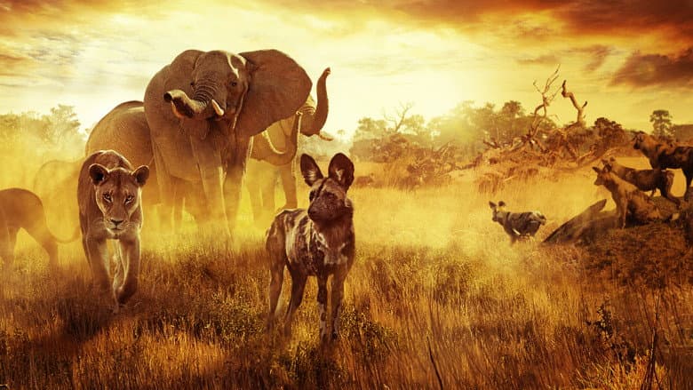 Surviving Paradise: A Family Tale still