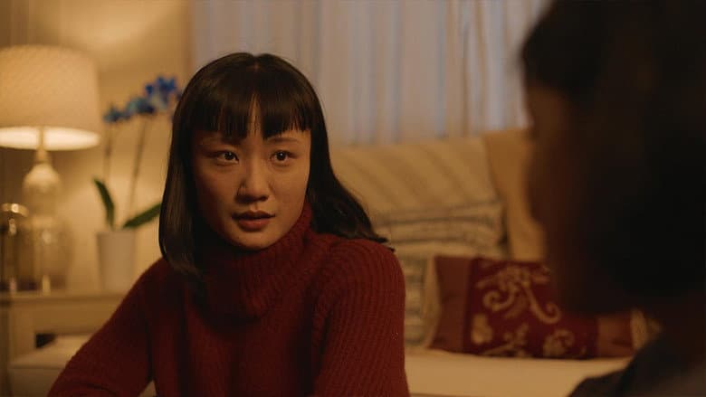 Firecracker still