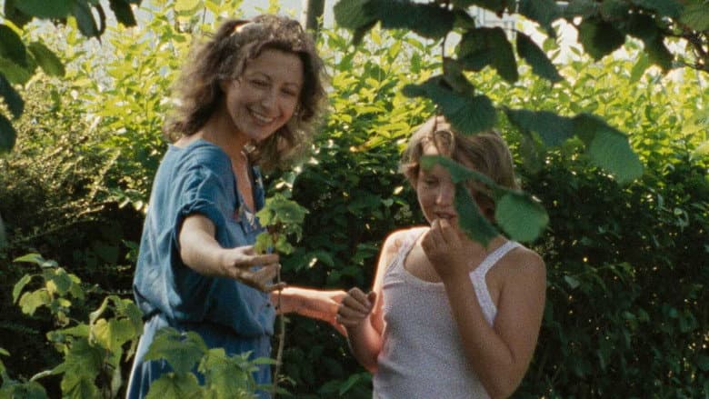 The Green Ray still