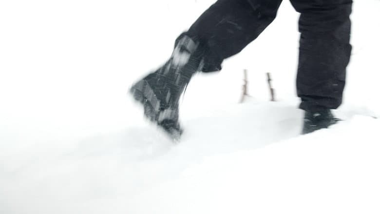 White Wasteland still