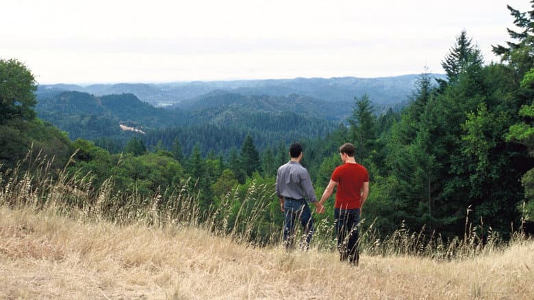 Redwoods still