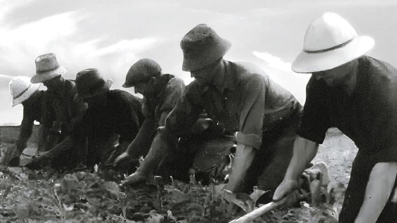 La Ceinture Dorée still