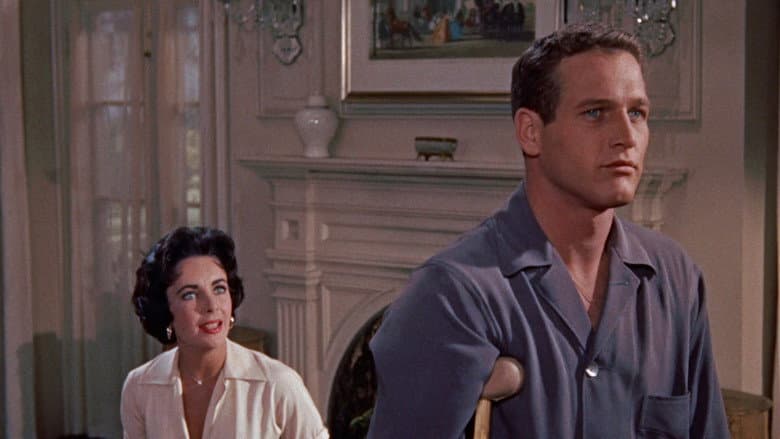 Cat on a Hot Tin Roof still