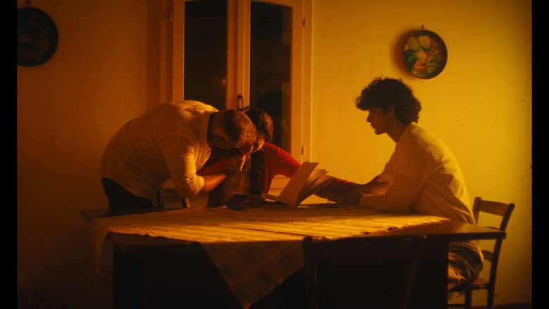 50mm still