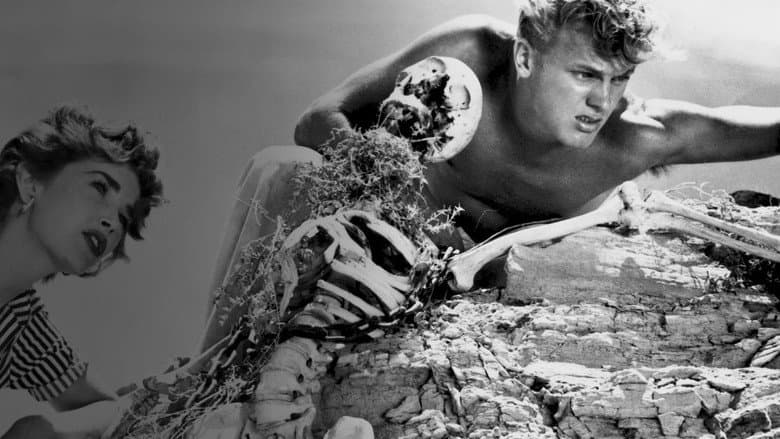 Return to Treasure Island still