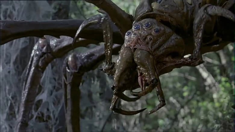 Arachnid still