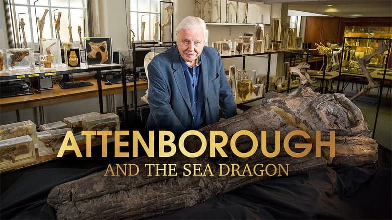 Attenborough and the Sea Dragon still