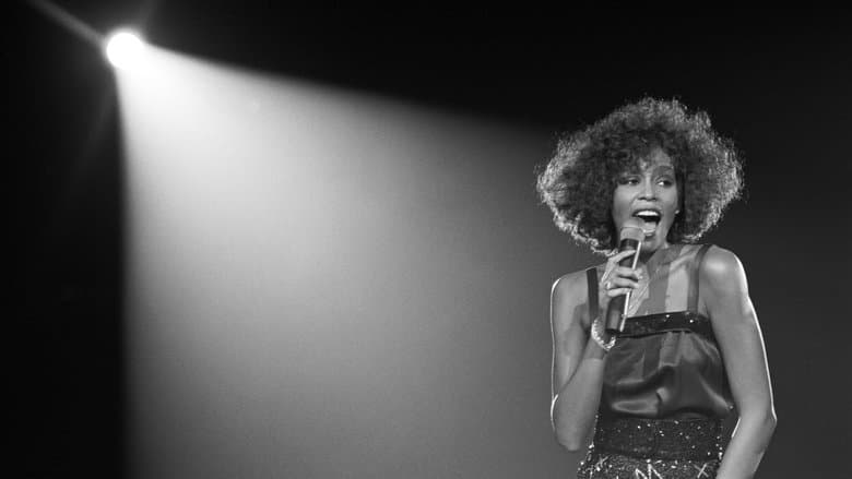 Whitney: Can I Be Me still