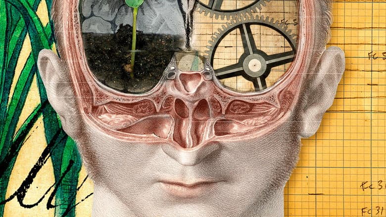The Divided Brain still