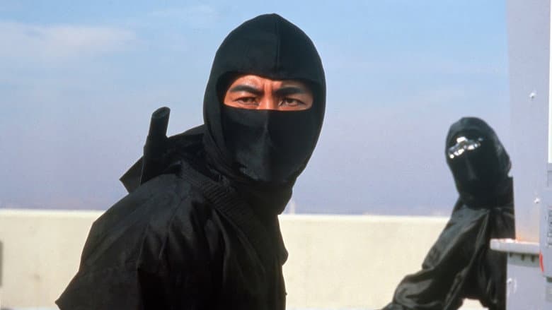 Revenge of the Ninja still