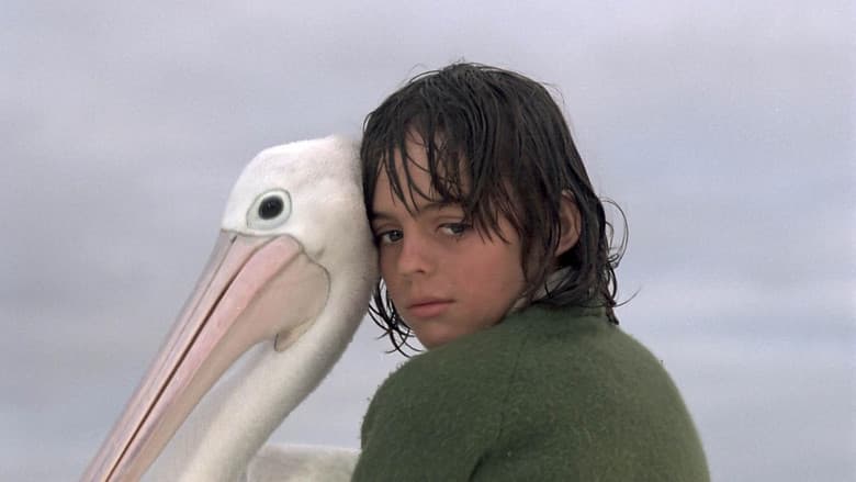 Storm Boy still
