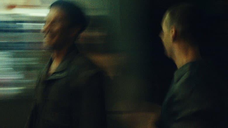Stranger, Brother. still