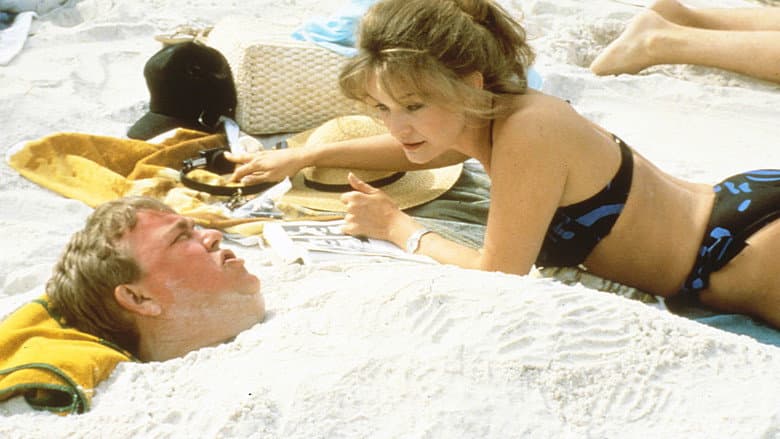 Summer Rental still