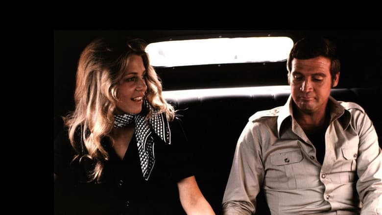 The Return of the Six-Million-Dollar Man and the Bionic Woman still