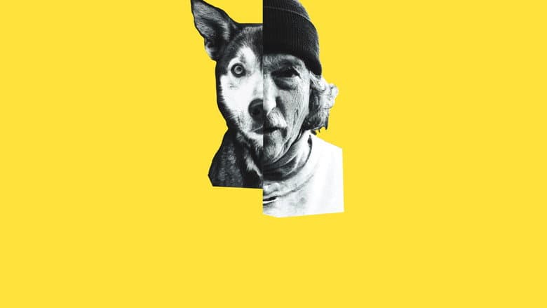 Underdog still