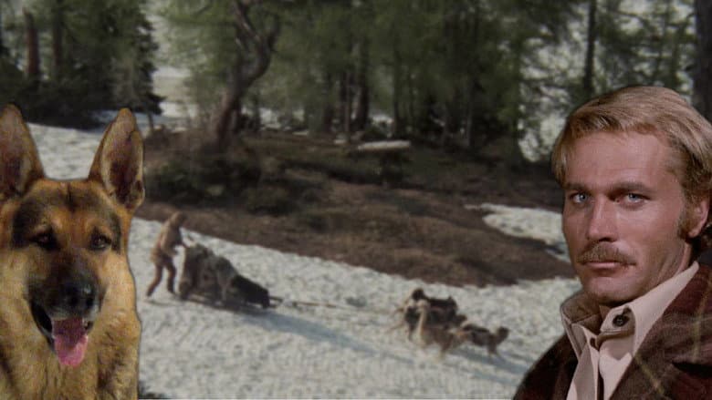 White Fang still