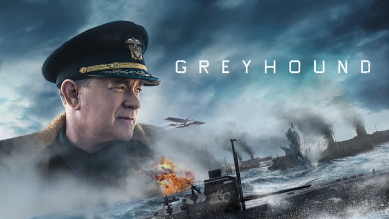 Greyhound still