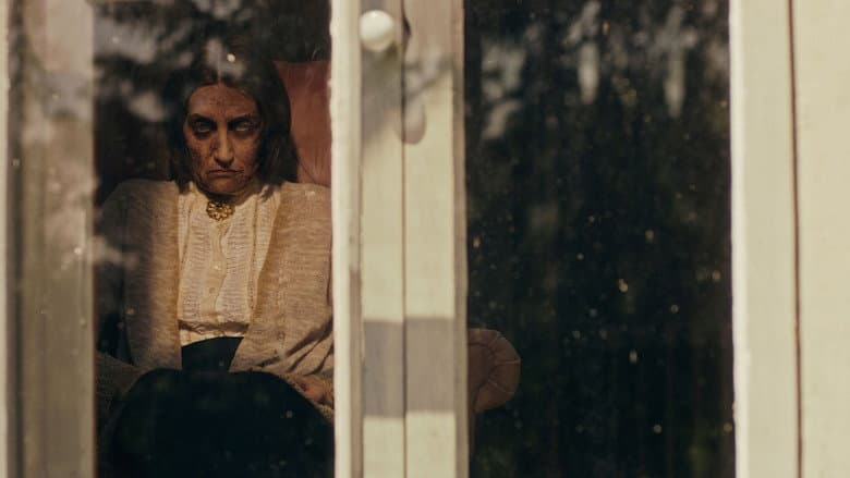 The Witch in the Window still