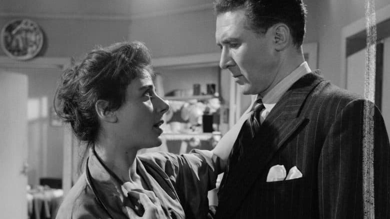 Woman in a Dressing Gown still