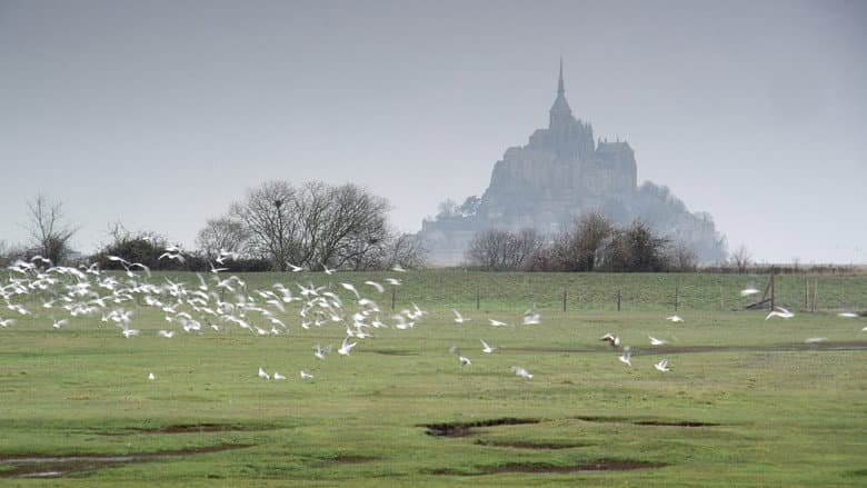 Mont Saint-Michel: The Enigmatic Labyrinth still