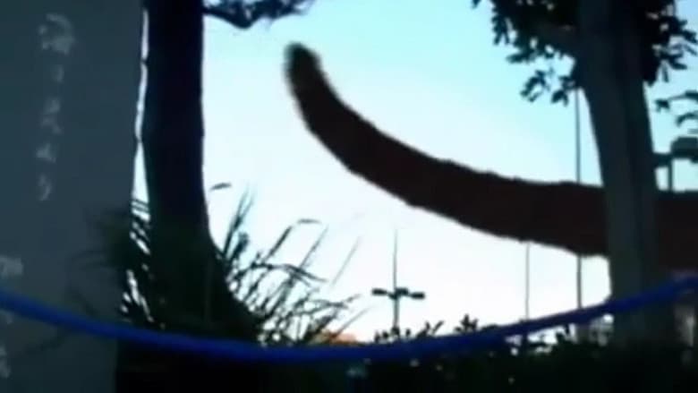 Monster still