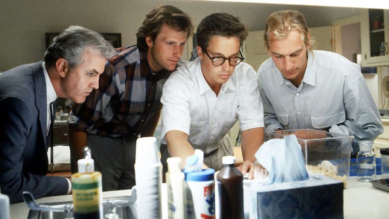 Arachnophobia still