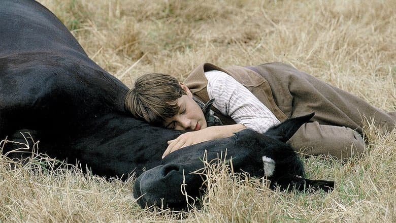 Black Beauty still