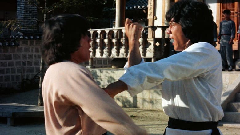 Dragon Fist still