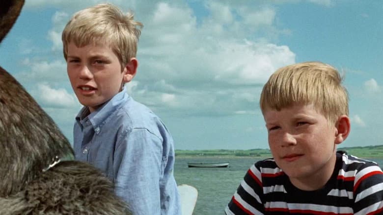 Five and the Spies still
