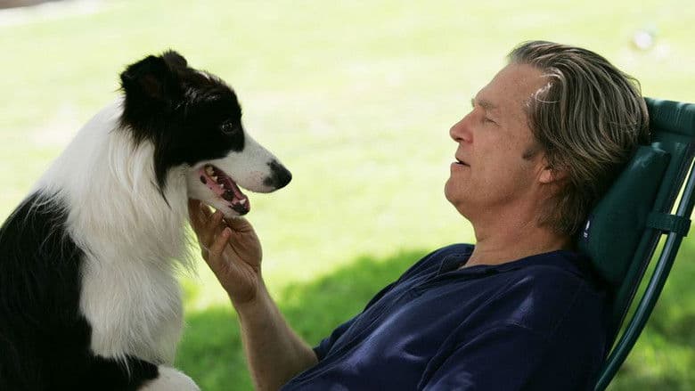 A Dog Year still