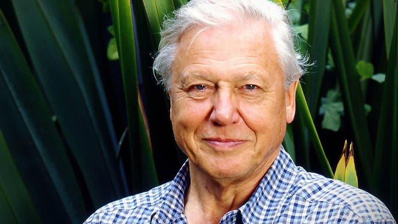 Gorillas Revisited with Sir David Attenborough still