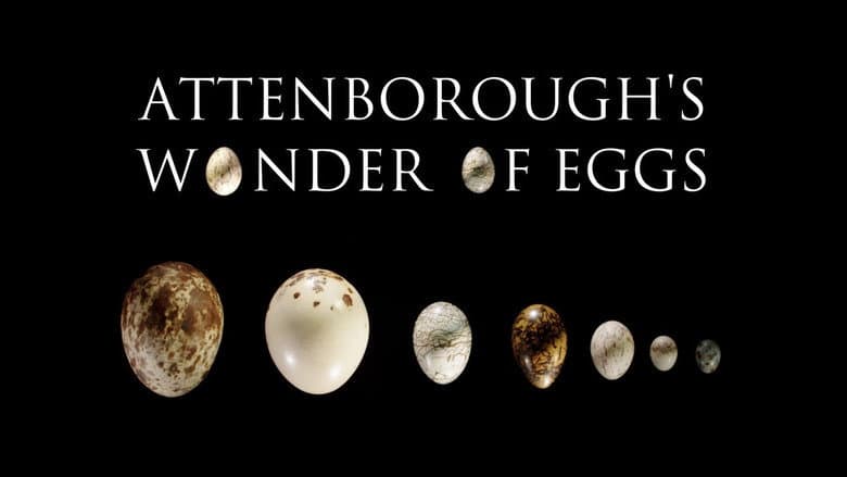 Attenborough's Wonder of Eggs still