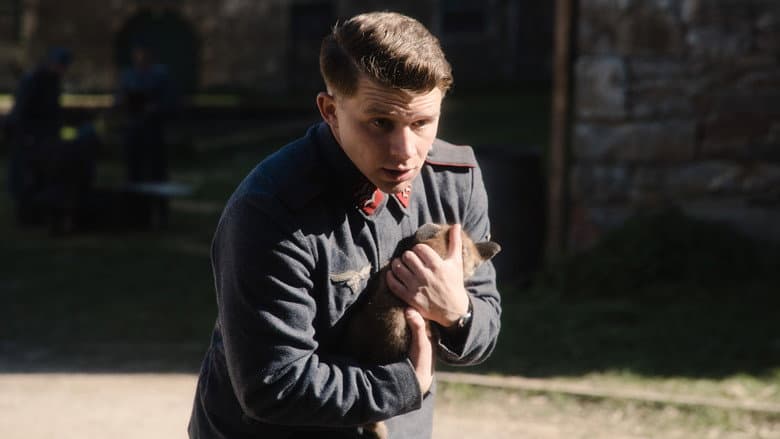 The Fox still