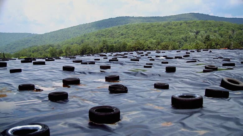 The Landfill still