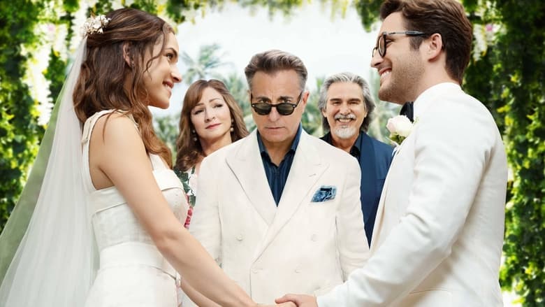Father of the Bride still