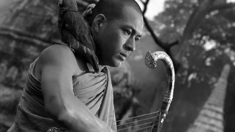 The Burmese Harp still